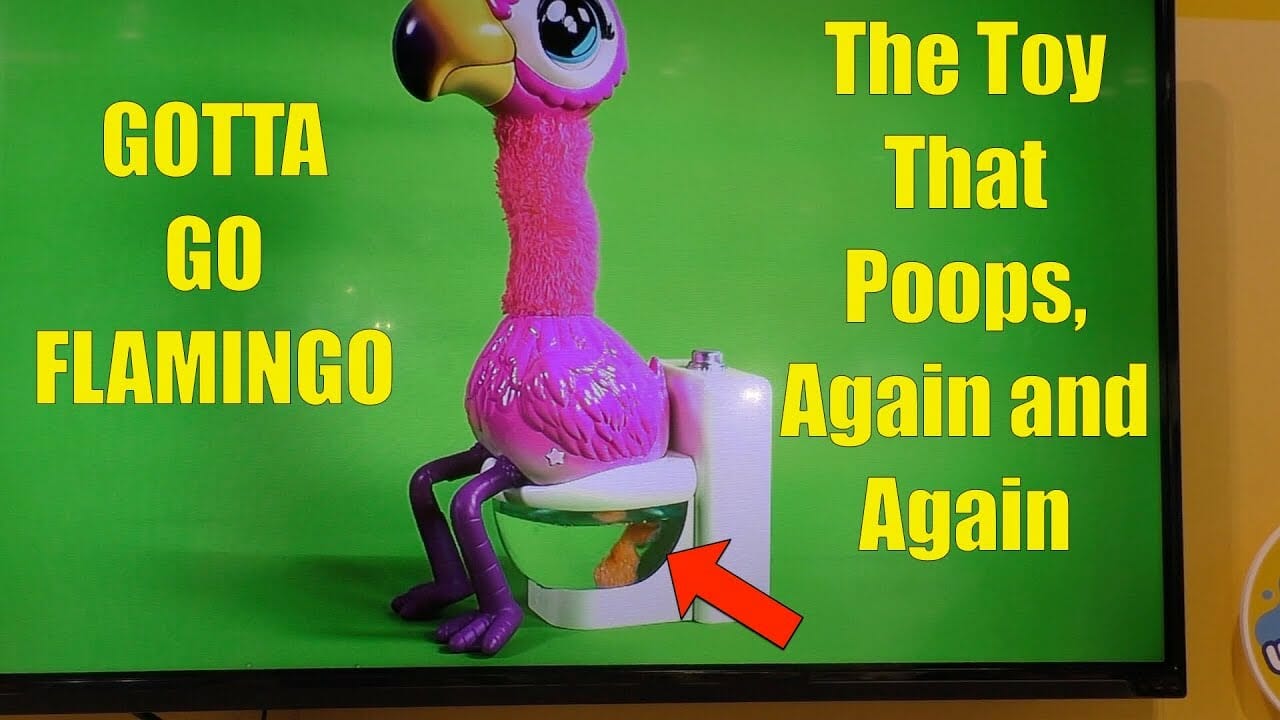 gotta go flamingo