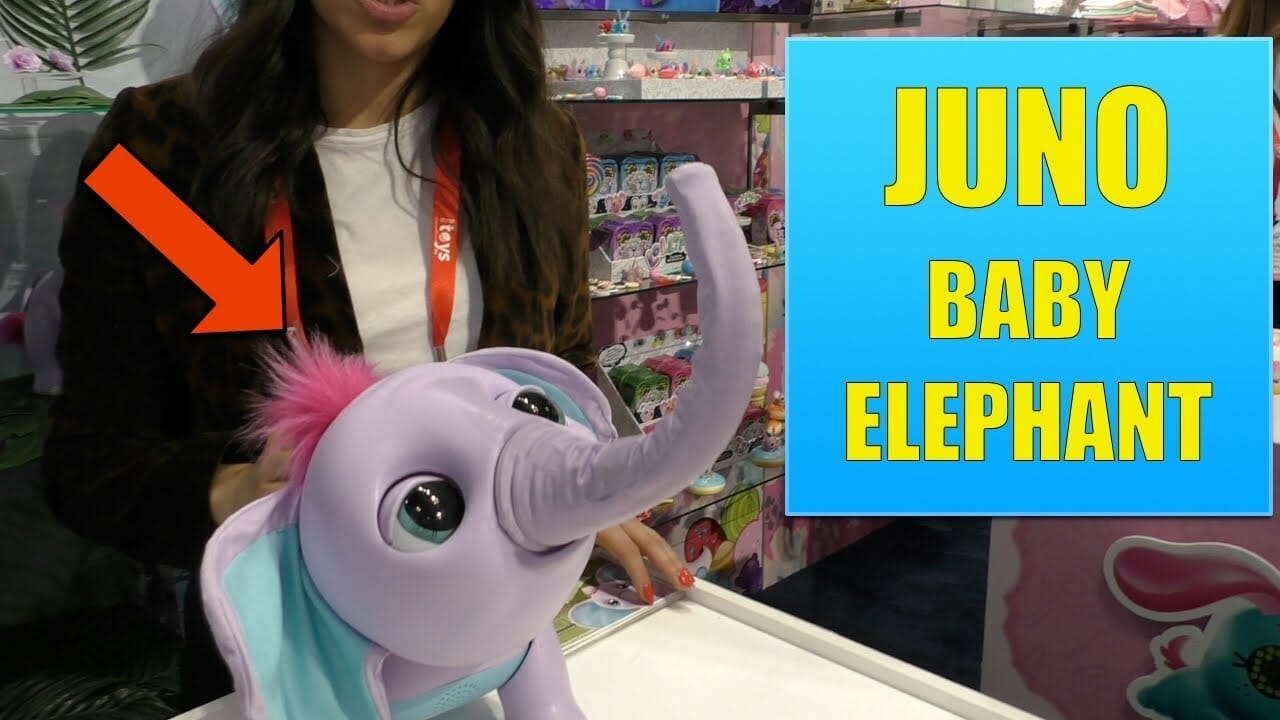 interactive elephant